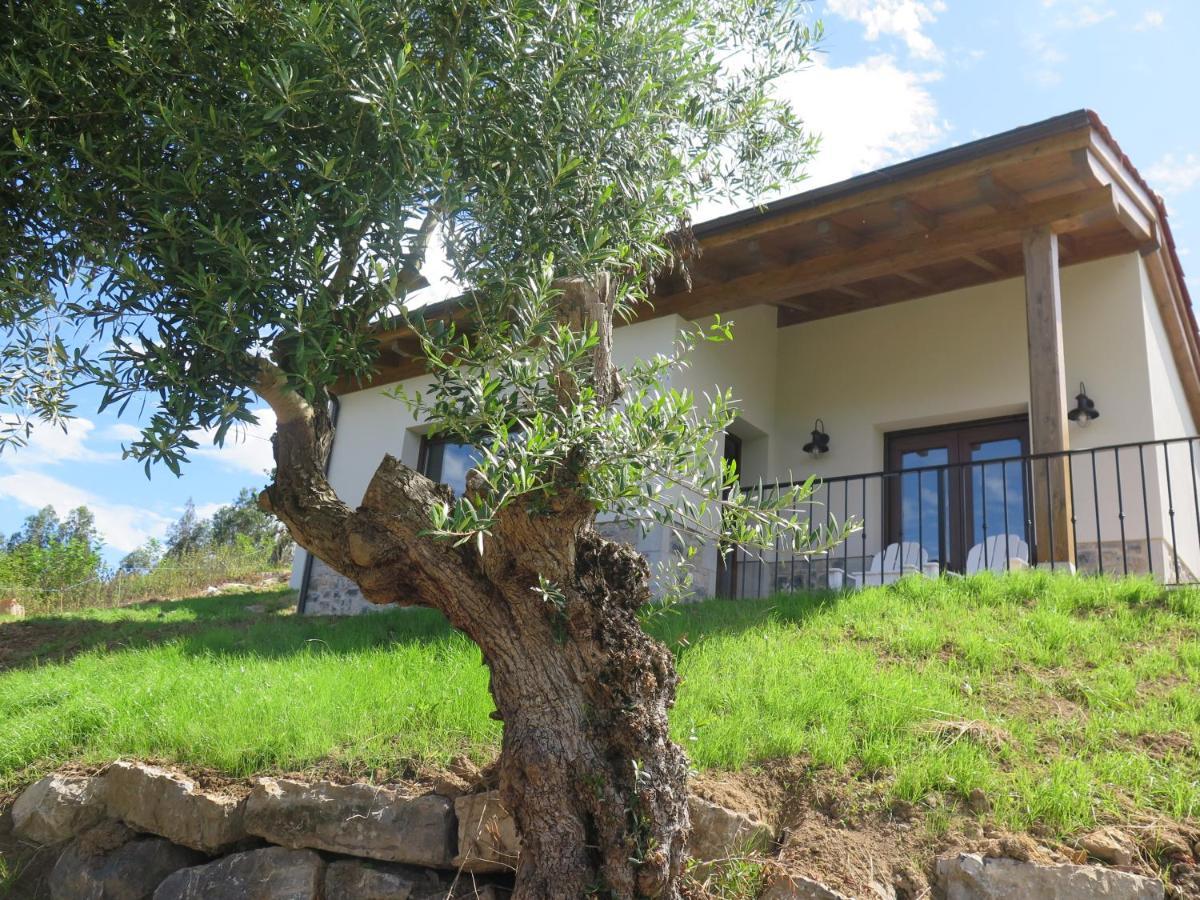 Villa La Casina Del Olivo Ribadesella Exterior foto